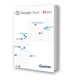 meriti_ebook_gartner2022